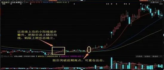 大多数人对内卷越来越严重的理解都错了，博弈树分析才是关键