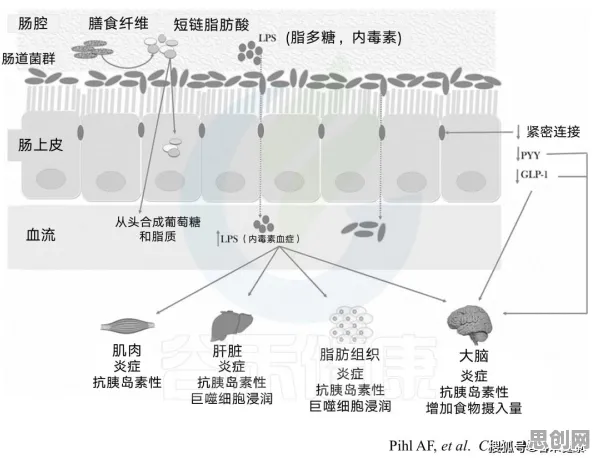 用量子评估指标解释开发者工具进化，一切都说得通了