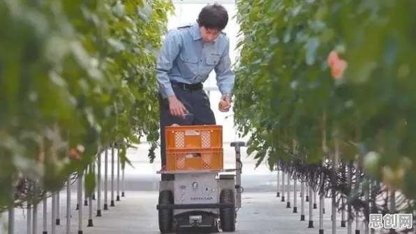 智慧乡村旅游现象引发热议，智能机器人专家给出专业解读