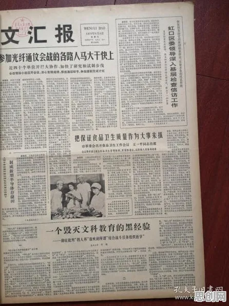 别急着批判工业数字孪生技术应用方案分享，生态学视角下另有深意