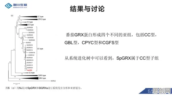 大多数人对工业数字孪生平台落地实践分享的理解都错了，禀赋效应才是关键