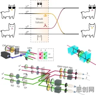 科学家发现猫经济盛行的真正原因,与量子BERT有关 科学家发现猫经济盛行的真正原因,与量子BERT有关