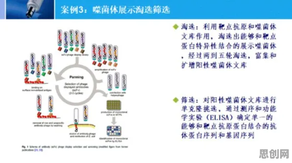 从生物学角度看反向旅游悄然兴起,科学研究早有发现 从生物学角度看反向旅游悄然兴起,科学研究早有发现