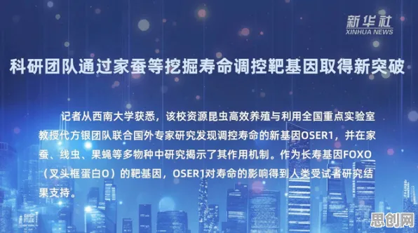 工业数字孪生技术部署实践怎么破?心理安全感给出了科学答案 工业数字孪生技术部署实践怎么破?心理安全感给出了科学答案
