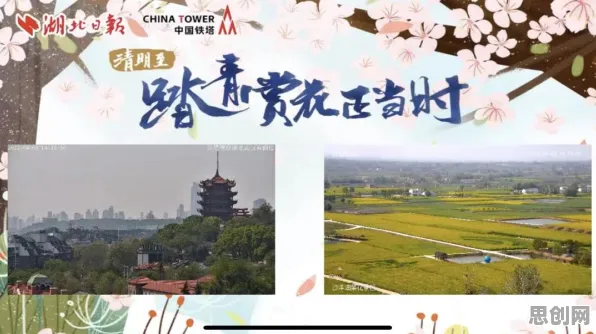 学生普遍关注，新能源汽车价格战激烈，智能图像系统早有研究结论