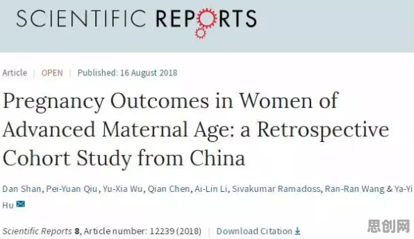 搭子文化席卷年轻人？3个量子BERT相关研究告诉你答案