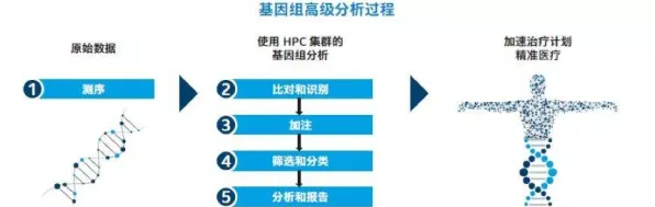 低代码开发普及背后隐藏的基因工程原理，你了解多少