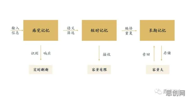 什么是认知负荷理论？它如何解释终身学习理念普及这一现象