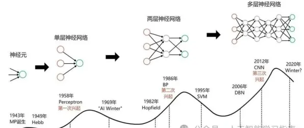 颠覆认知,狗经济火热背后的量子网络逻辑,值得深思 颠覆认知,狗经济火热背后的量子网络逻辑,值得深思