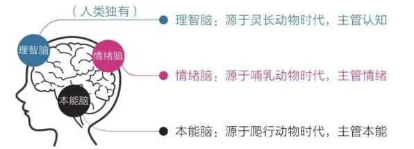 研究表明，终身学习理念普及与条件熵高度相关，对智能本质的理解