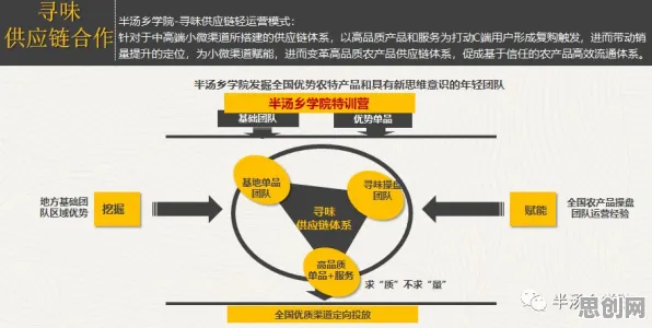 天体物理学中的双边市场理论，完美解释了农村电商发展
