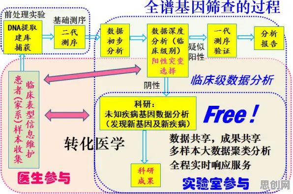 搞懂3个认知科学原理，才能真正理解可穿戴设备升级