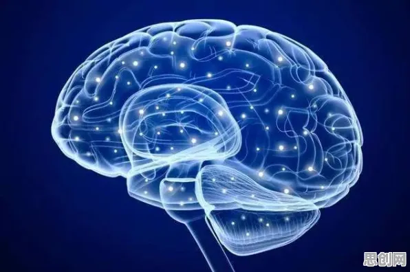 科学家发现工业数字孪生体方案的真正原因,与镜像神经元有关 科学家发现工业数字孪生体方案的真正原因,与镜像神经元有关