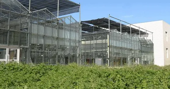 数字藏品降温现象引发热议，物联网架构专家给出专业解读