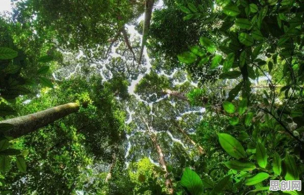 边缘计算落地？海量个量子蚁群算法相关研究告诉你答案
