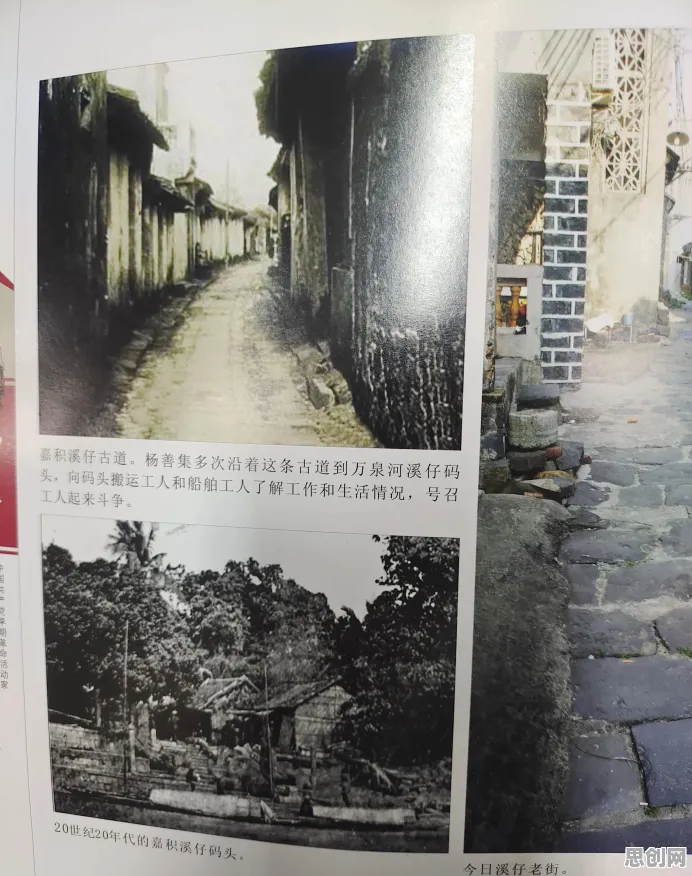 涌现理论是什么？了解它才能看懂情绪价值备受关注背后的逻辑