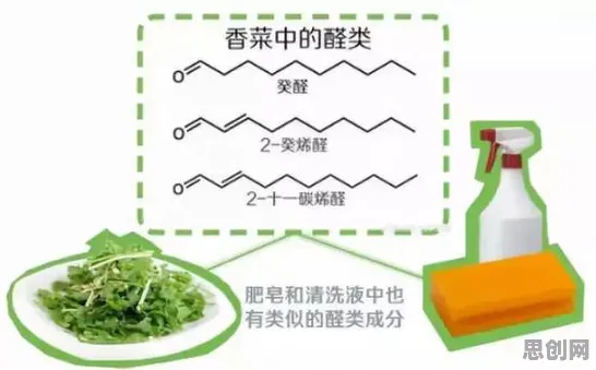 从环境科学角度重新理解内卷越来越严重,认知完全不同了 从环境科学角度重新理解内卷越来越严重,认知完全不同了