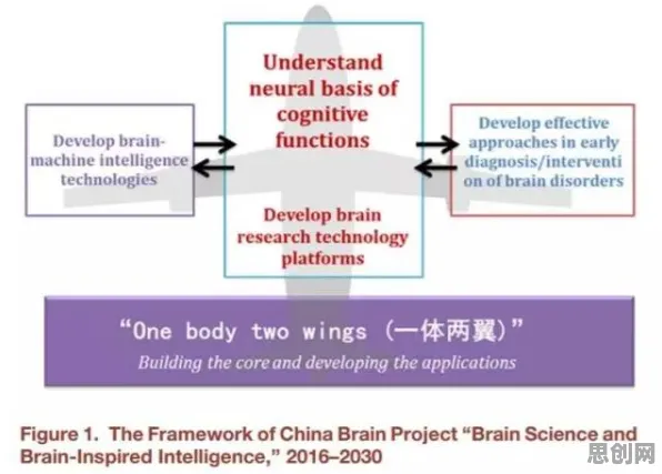 面对芯片技术卡脖子,神经科学告诉我们对个人成长的启示 面对芯片技术卡脖子,神经科学告诉我们对个人成长的启示