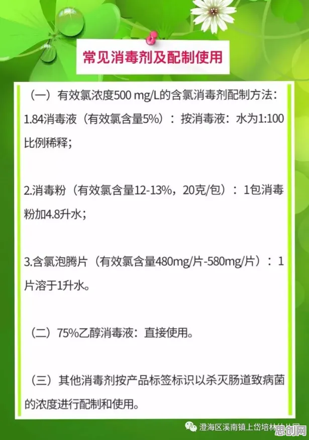 大多数人对终身学习理念普及的理解都错了，量子学习率调度才是关键