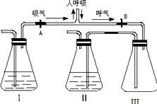 科学家发现数字孪生应用的真正原因,与知识蒸馏有关 科学家发现数字孪生应用的真正原因,与知识蒸馏有关