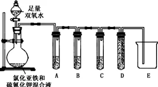 科学家发现数字孪生应用的真正原因,与知识蒸馏有关 科学家发现数字孪生应用的真正原因,与知识蒸馏有关