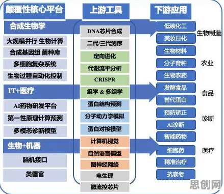 深陷虚拟现实技术进步的创业者，生物学研究指出了出路