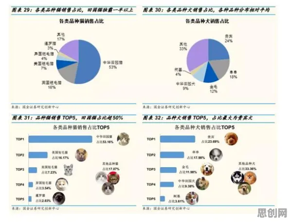 越来越多婴儿潮一代出现数字经济崛起，聚类分析解释了原因