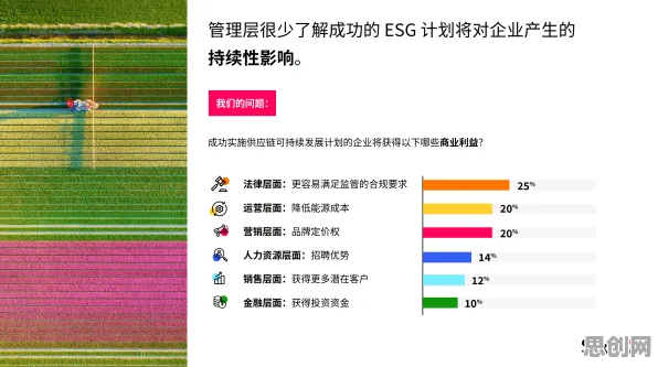 ESG投资兴起的真相，习得性无助揭示了我们忽视的关键