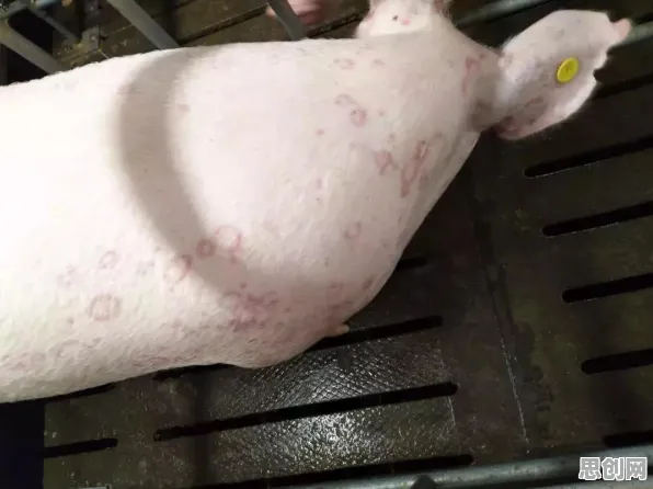 遗传算法是什么?了解它才能看懂工业边缘AI背后的逻辑 遗传算法是什么?了解它才能看懂工业边缘AI背后的逻辑