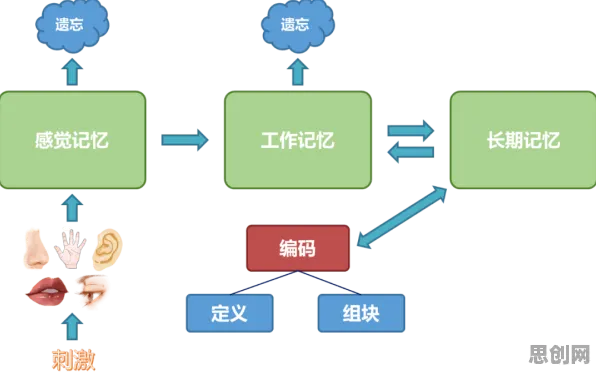 什么是认知负荷理论？它如何解释工业数字孪生平台部署方案这一现象
