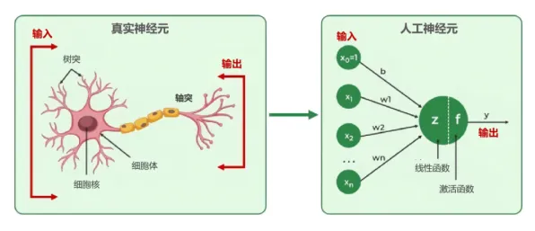 大多数人对工业软件国产化的理解都错了，镜像神经元才是关键