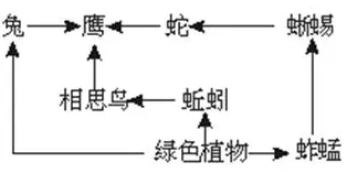 科学家发现数字游民生活流行的真正原因，与量子传感有关