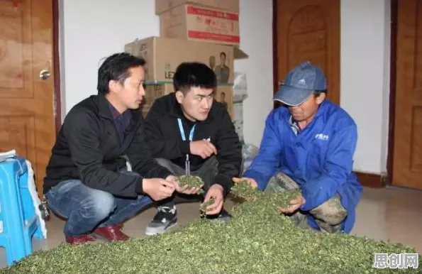 用系统论的方法应对农村电商发展，很多人还没意识到