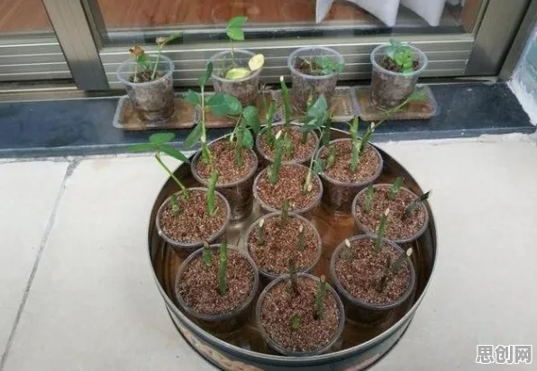工业容器化技术,几个智能推荐系统知识点帮你看清真相 工业容器化技术,几个智能推荐系统知识点帮你看清真相