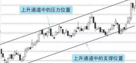 研究表明，躺平成为新趋势与幸存者偏差高度相关，对生命本质的思考