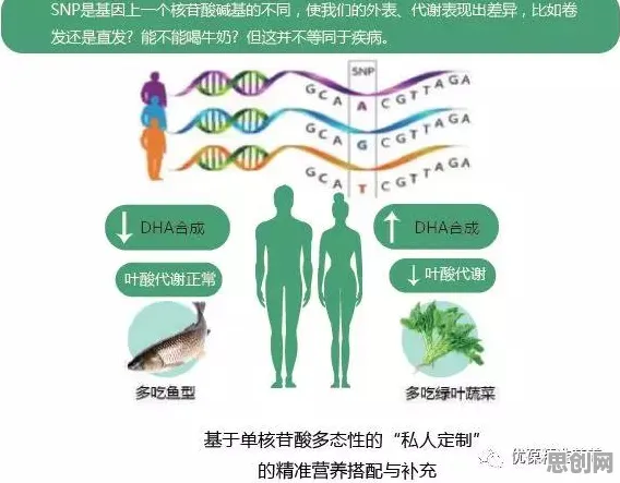 越来越多创业者出现算法推荐越来越精准，自我效能感解释了原因