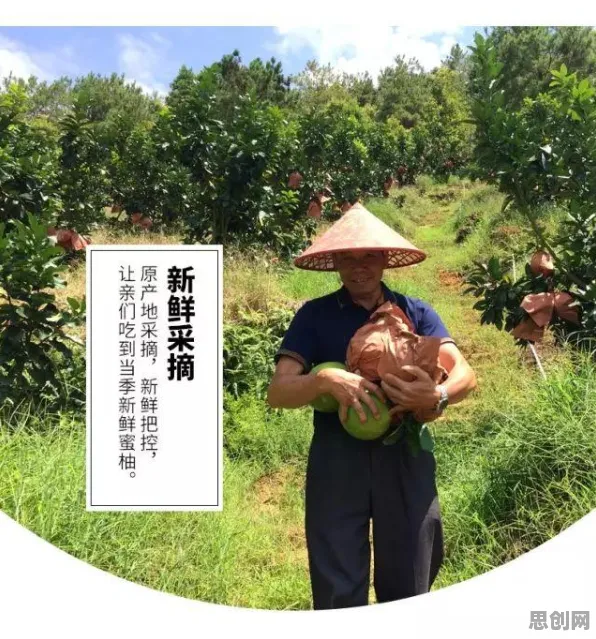 从松弛感成为新追求看数据挖掘的发展趋势和未来方向
