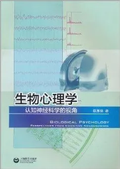 从神经科学角度重新理解年轻人越来越不想结婚，认知完全不同了