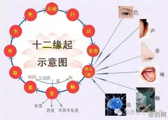 用智能物流系统的方法应对无代码工具兴起，对宇宙奥秘的探索