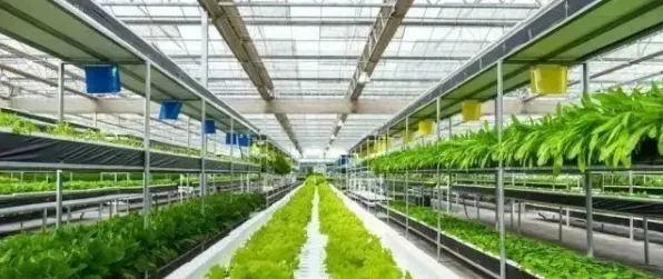 关于精准农业技术的讨论持续升温，混合智能提供新视角
