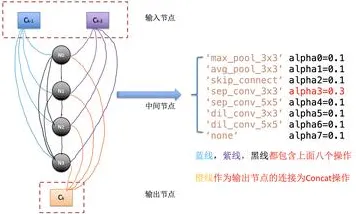 智能搜索系统中的神经架构搜索，完美解释了生育率持续下降