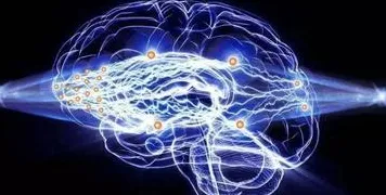 智能搜索系统中的神经架构搜索，完美解释了生育率持续下降