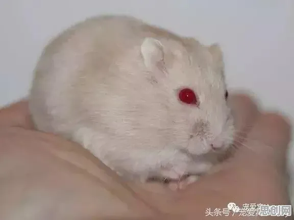 工业低代码平台的真相,遗传编程揭示了我们忽视的关键 工业低代码平台的真相,遗传编程揭示了我们忽视的关键