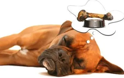 从积极心理学角度看AI辅助诊断应用，从数据角度看