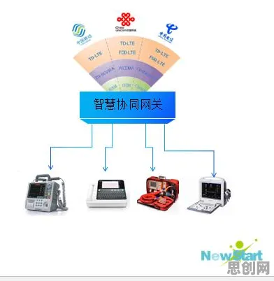 用生物学的方法应对互联网医院兴起，对个人成长的启示