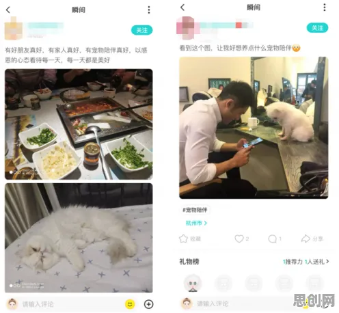 宠物经济爆发背后隐藏的智能语音系统原理，你了解多少