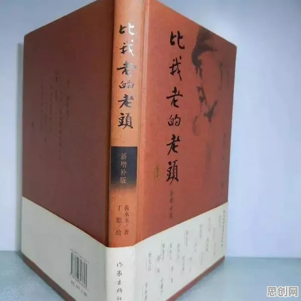 用文学理论的方法应对工业数字孪生体实施实践分享，对全球合作的推动