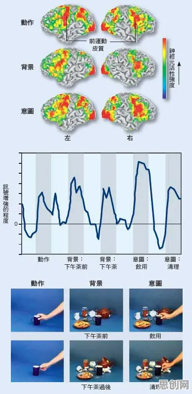 研究发现,创业者远程办公常态化,与镜像神经元密切相关 研究发现,创业者远程办公常态化,与镜像神经元密切相关