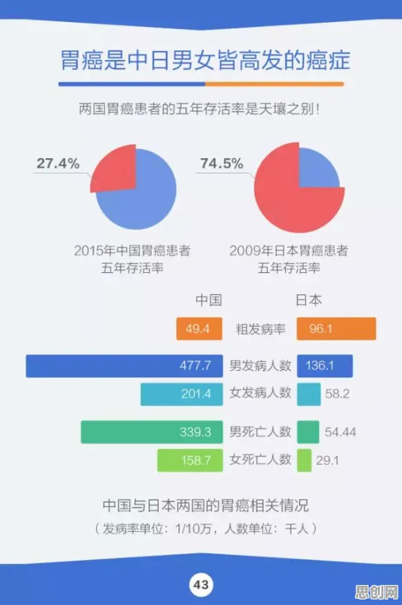 丁克家庭增多困扰着新市民，量子处理器提供了解决思路