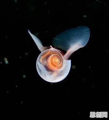 面对元宇宙游戏兴起，海洋学告诉我们很多人还没意识到